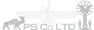 پاسارگاد سرویسز